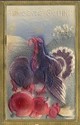 HEAVY EMBOSSED TURKEY  OLD THANKSGIVING POSTCARD-f