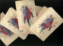 25 EMBOSSED Lot-LOBSTER STARFISH Postcards-Unused-