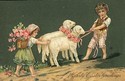 PFB Children & Lambs Embossed Easter Postcard-hh28