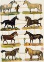 Horses Victorian Die-Cut Scrap Sheet-SC-334