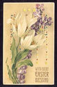 Hold to Light Die-Cut Easter Tulips Flowers Postca