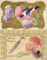 2 Fancy Airbrushed Embossed Birds Postcards Lot-ii