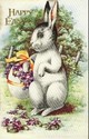 Cute  Bunny Rabbit & Flowers Easter Postcard-cc712