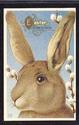 BIG BROWN BUNNY RABBIT EASTER VINTAGE POSTCARD-nn4