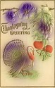 HEAVY EMBOSSED TURKEY  OLD THANKSGIVING POSTCARD-f