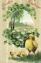 Pretty Easter Chick & Flowers Vintage Postcard-ii-