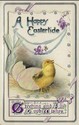 Chick Hatching from Egg with Booklet Postcard-cc48