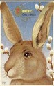 BIG BROWN BUNNY RABBIT EASTER VINTAGE POSTCARD-bb8