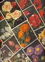 75 HUGE LOT of  PRETTY FLOWERS Postcards-Unused-nn