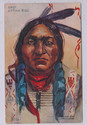 Chief Sitting Bull Native Indian Postcard 1910 Tam