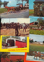 20 Amish Postcards Lot-People, Carriages, More! al