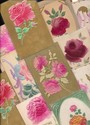 LOT of 15 PRETTY AIRBRUSHED PUFFY ROSES POSTCARDS-