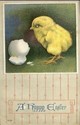 Cute Easter Chick Pops Out of Egg  Postcard-bb747