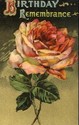 Fancy Embossed Birthday Rose Greeting Postcard--ee