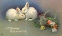 Bunny Rabbits with Flower Basket Easter Postcard-g