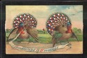 Mechanical Turkeys Antique Thanksgiving Postcard-h