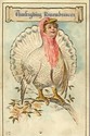 Ladys Head Turkey Fantasy Thanksgiving Postcard-hh