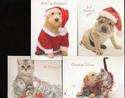 16 CUTE  CATS & DOGS  BOXED CHRISTMAS CARDS-NEW!!!