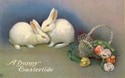 Bunny Rabbits & Easter Basket Vintage  Postcard-cc