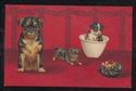 Cute Dog  & Puppies in Cup Vintage Postcard-pp415