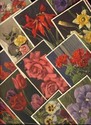 Nice Lot of 25 Swiss FLOWERS Postcards-Unused-ee38