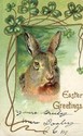 Cute Brown Bunny Rabbit & Clovers Easter Postcard-