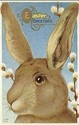 CUTE BIG BUNNY RABBIT EASTER VINTAGE POSTCARD-jj90