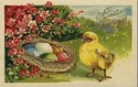 Pretty Easter Chick with Flowers Postcard-ff499