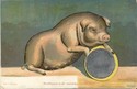 Novelty Pig with Add on Metal Mirror Old Postcard-