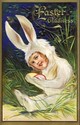 Fantasy Girl in Bunny Rabbit Suit Easter Postcard-