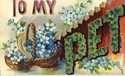 Large Letter TO MY PET Greeting Postcard-ii488