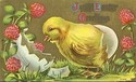 Big Yellow Easter Chick & Flowers Emboss Postcard-