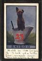 Shaggy Dog in Pail-23 Skidoo Ullman Postcard-ff609