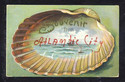 Old Atlantic City Souvenir Shell & Scene Postcard-
