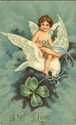 Cupid & White Dove Valentine's Day  Postcard-ff482