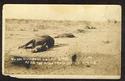 Rare Old RPPC Photo Postcard-1915 AGUA PRIETA BATT