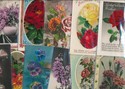 Lovely LOT of 15 VINTAGE ~FLOWERS PHOTO POSTCARDS-