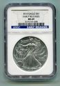 2010 AMERICAN SILVER EAGLE NGC MS69 EARLY RELEASE 