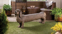 *15481V - 53" Long Doggy Bench Dachshund Garden Ya