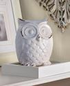 *15684V - Distress Finish Ceramic White Owl Figuri