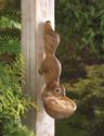 *16127V - Scurrying Squirrel Birdfeeder Wall Hangi