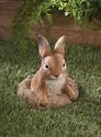 *16128V - Curious Brown Bunny Garden Statue Yard A