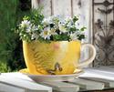 *16838V - Yellow Garden Butterfly Dolomite 11" Tea