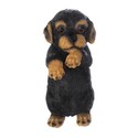 To add this item in your Shopping Cart drag and drop this picture there
