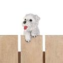 *17278V - Climbing Cutie White Terrier Puppy Aspen