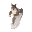 To add this item in your Shopping Cart drag and drop this picture there