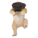 To add this item in your Shopping Cart drag and drop this picture there