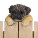 *17283V - Climbing Tan Pug Puppy Daisy Fence Edge 