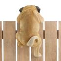 *17283V - Climbing Tan Pug Puppy Daisy Fence Edge 