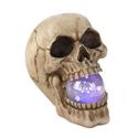 *17294V - Skull Skeleton Head Figurine Light-Up Or